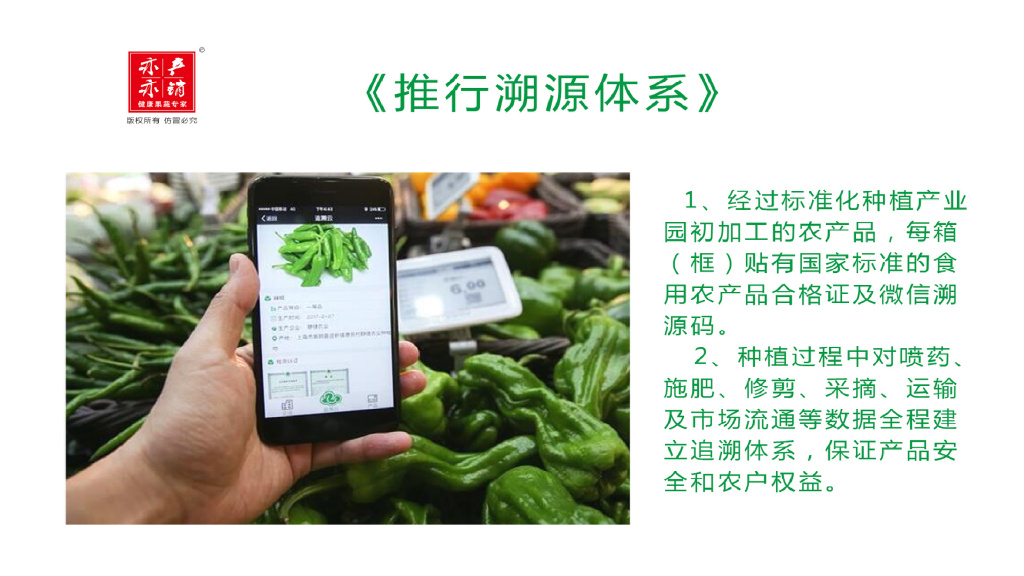 愿意来留得住干得好能出彩乡村振兴产业园异军突起