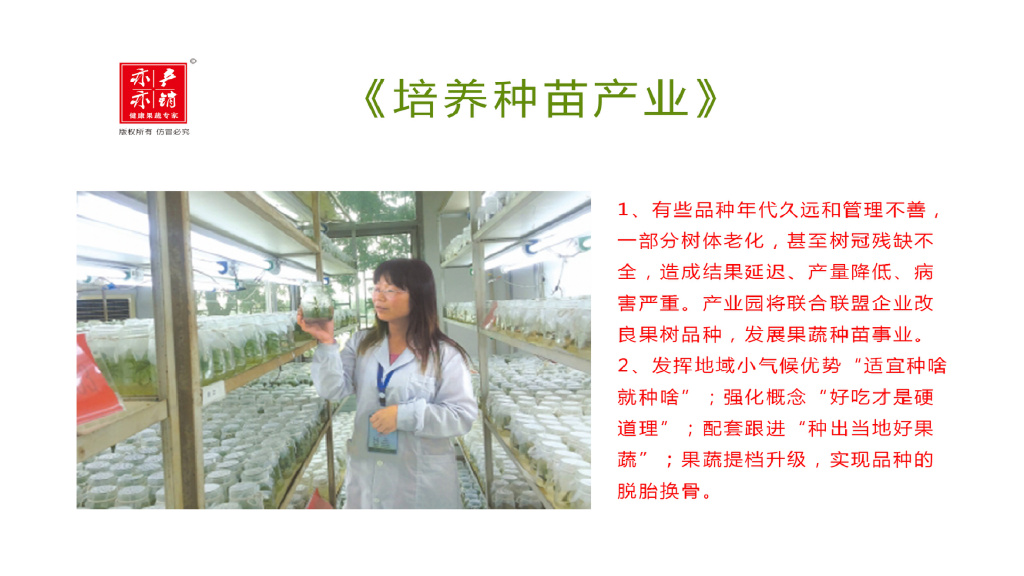 愿意来留得住干得好能出彩乡村振兴产业园异军突起