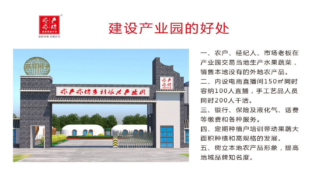 愿意来留得住干得好能出彩乡村振兴产业园异军突起