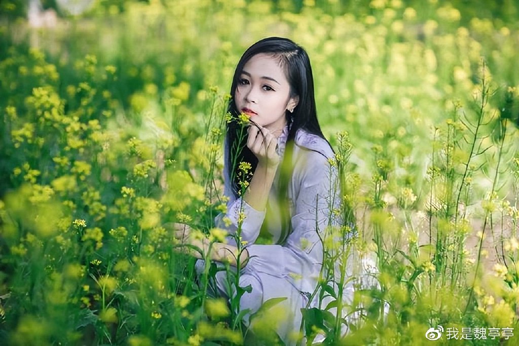 演员表分析与幕后花絮