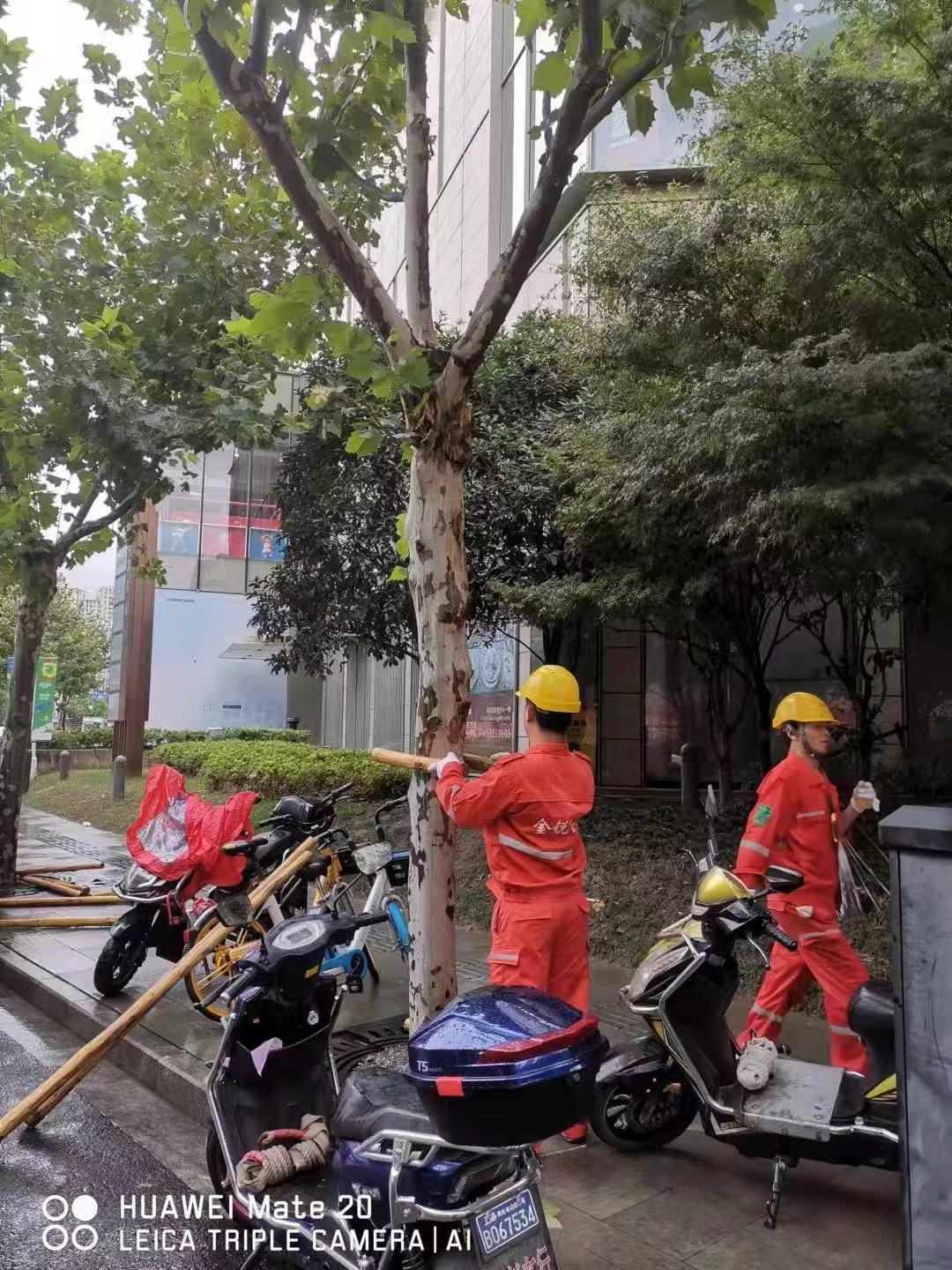 超强台风“灿都”逼近!社区防线怎么守?休闲区蓝鸢梦想 - Www.slyday.coM 超强台风“灿都”逼近!社区防线怎么守?休闲区蓝鸢梦想 - Www.slyday.coM