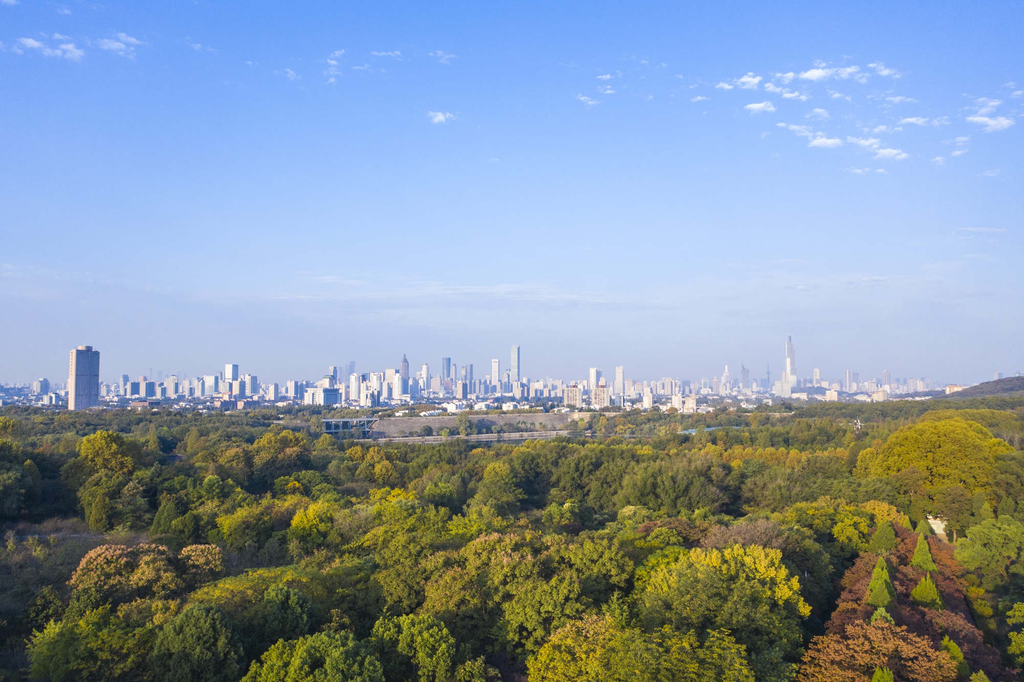 国内发展最快的五个新一线城市，环境优越，哪个更受年轻人的青睐