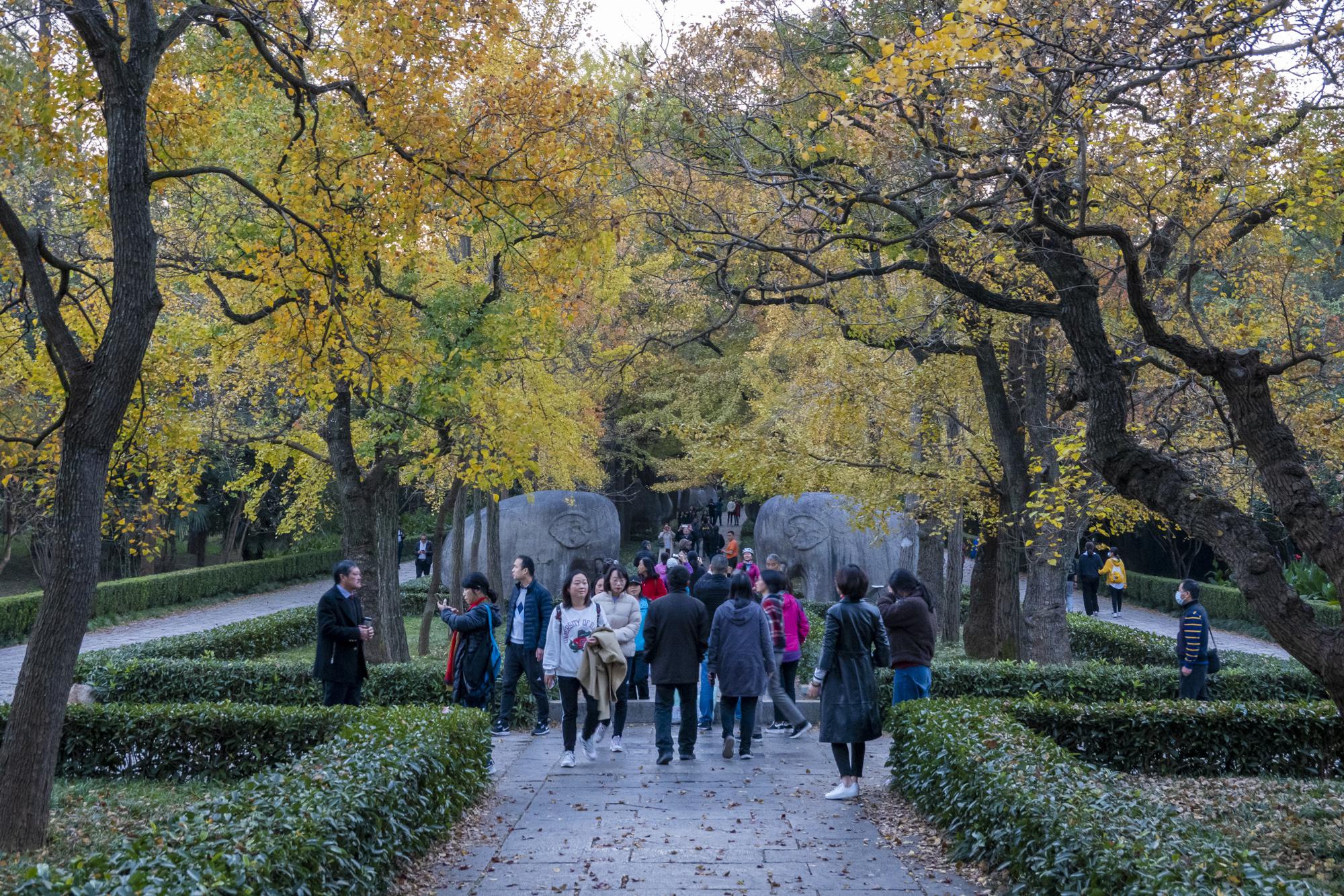 国内发展最快的五个新一线城市，环境优越，哪个更受年轻人的青睐