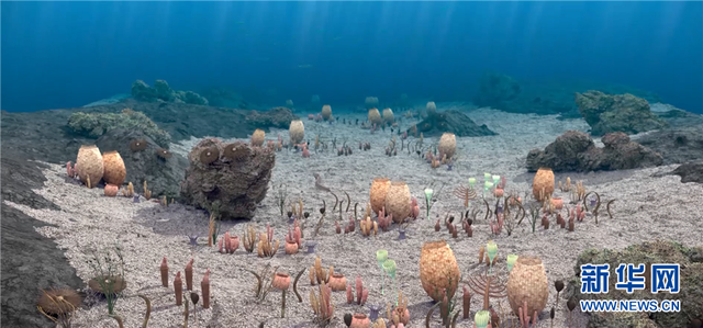 5.3亿年前的海洋生命长啥样？到澄江化石地世界自然遗产博物馆一探究竟澄江化石云南