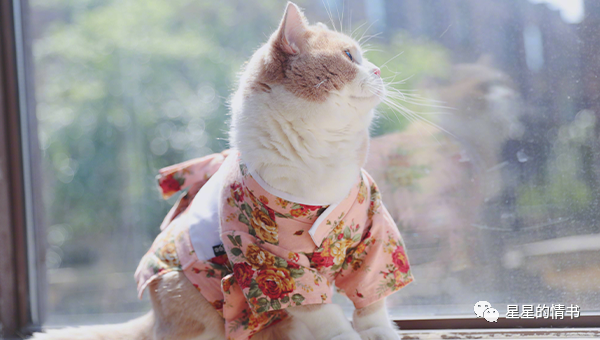 2021年，兜兜转转，绝处逢生，三大生肖爱情幸福，事业顺遂