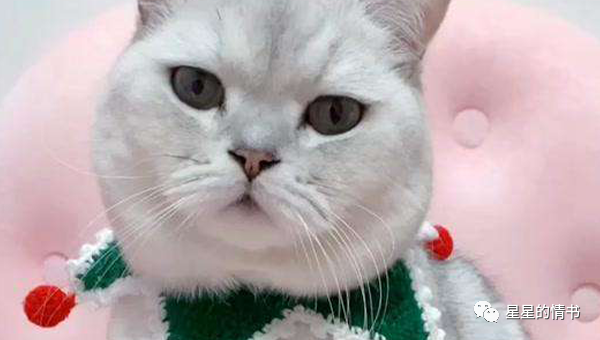 2021年，兜兜转转，绝处逢生，三大生肖爱情幸福，事业顺遂