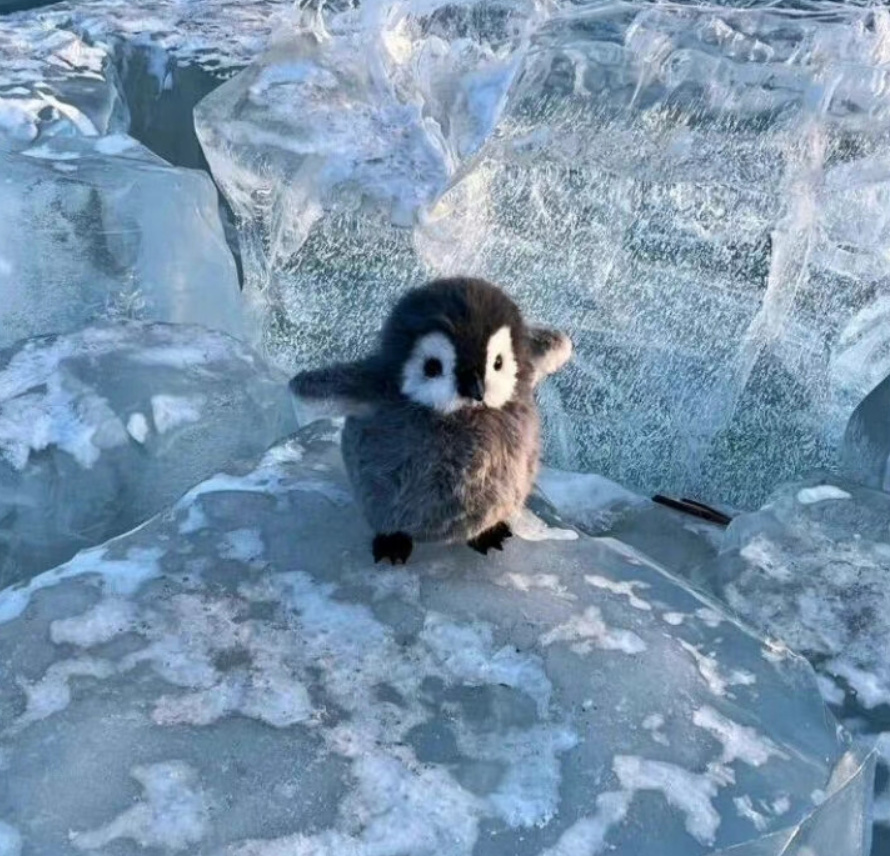 12星座超硬核的特质点,任你如何掰也掰不弯(别让你的对象看到)3 12星座超硬核的特质点,任你如何掰也掰不弯(别让你的对象看到)