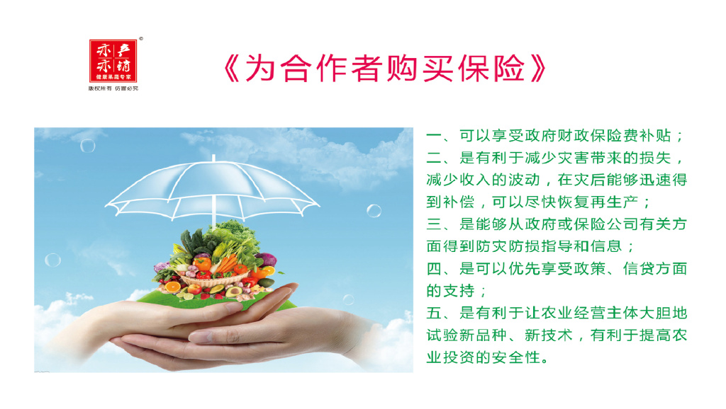 愿意来留得住干得好能出彩乡村振兴产业园异军突起