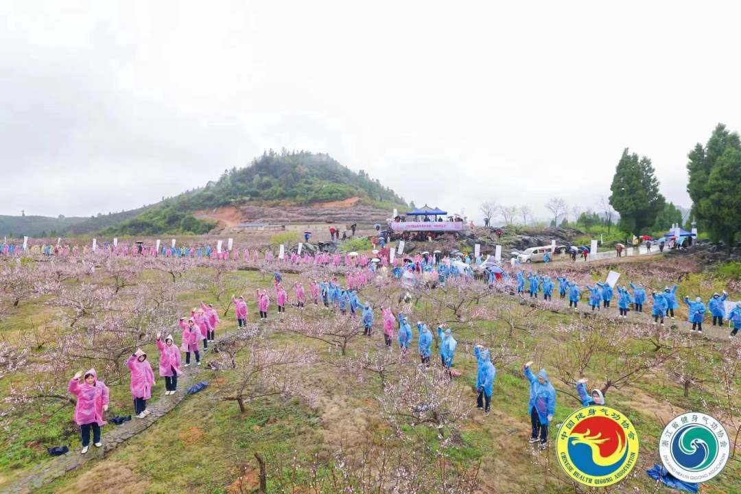 泛亚电竞全国百城千村健身气功交流展示系列活动大赛启动(图3)