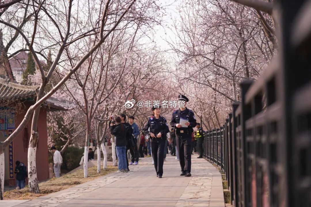 京津冀三地网友打卡桃花堤…