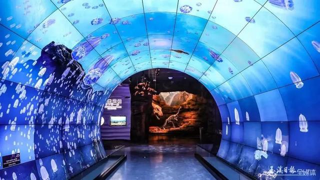 5.3亿年前的海洋生命长啥样?到澄江化石地世界自然遗产博物馆一探究竟澄江化石云南