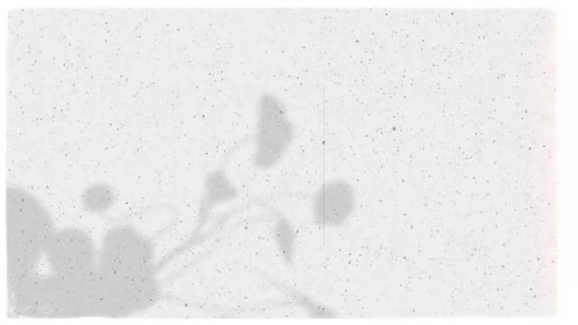 为啥要保密不能谈真的难猜啊果然那句“半公开”从来不是空穴来风哦