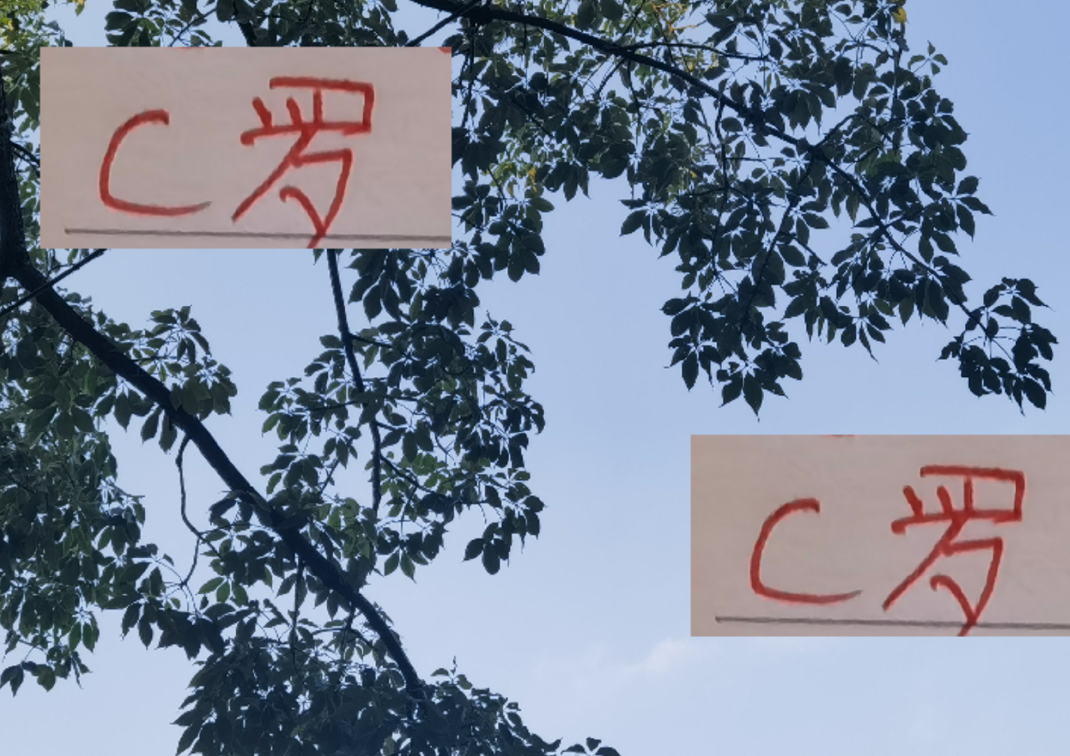 从C罗到王燊超：顶级球员如何凭借极致自律对抗年龄，延续竞技巅峰？