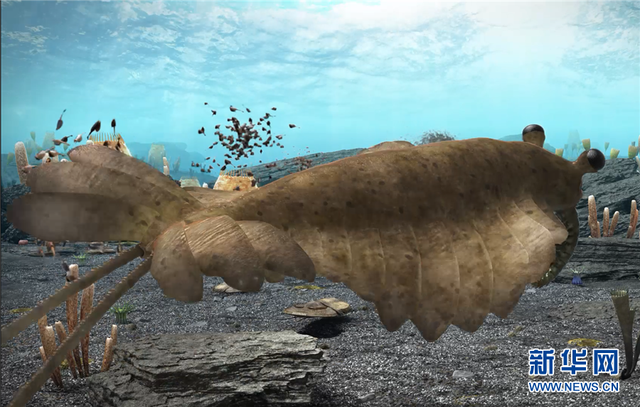 5.3亿年前的海洋生命长啥样?到澄江化石地世界自然遗产博物馆一探究竟澄江化石云南