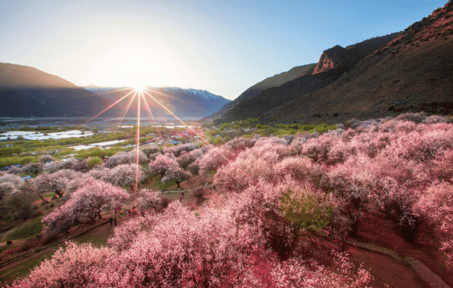 国内最美的春天，三月份的林芝堪称西藏最美的世外桃源
