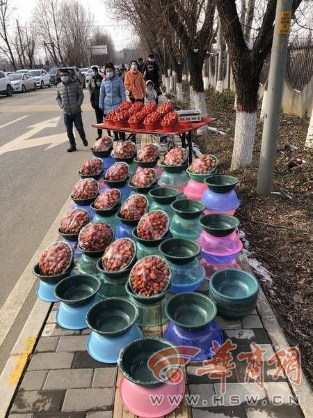 新春走基层大年初一白鹿仓景区人气不错 儿童游乐项目受欢迎休闲区蓝鸢梦想 - Www.slyday.coM 新春走基层大年初一白鹿仓景区人气不错 儿童游乐项目受欢迎休闲区蓝鸢梦想 - Www.slyday.coM