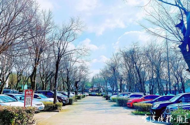 大年初四阳光回归,宁波景区里是这样的……休闲区蓝鸢梦想 - Www.slyday.coM 大年初四阳光回归,宁波景区里是这样的……休闲区蓝鸢梦想 - Www.slyday.coM