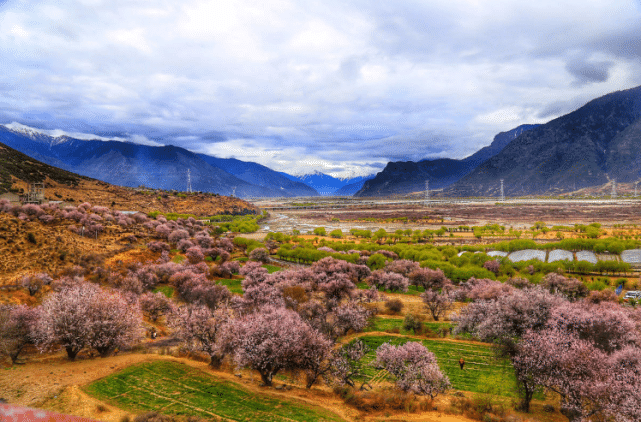 国内最美的春天，三月份的林芝堪称西藏最美的世外桃源