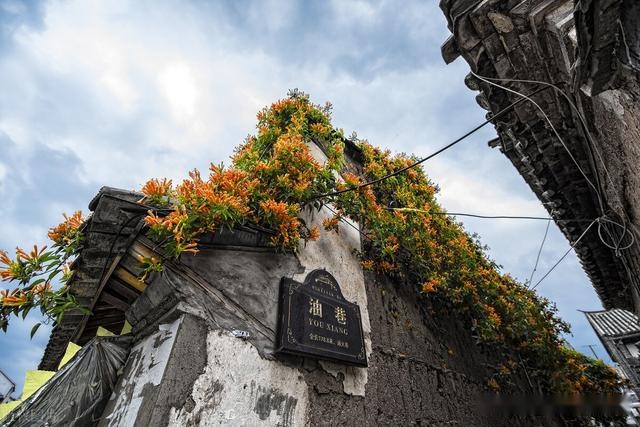 巍山古城距云南大理2.5小时车程，藏着600多年的古城