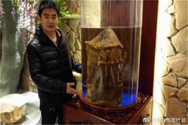 跳脱出三界外的生物，违背自然生长规律，太岁究竟是什么？-太岁的原理
