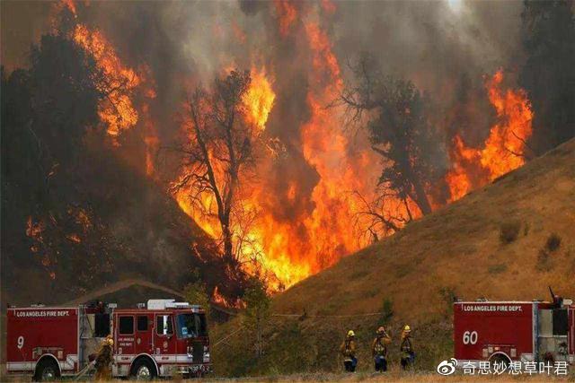 澳洲大火4个月后，大自然不可思议的万物复苏：枯树新芽，考拉回家