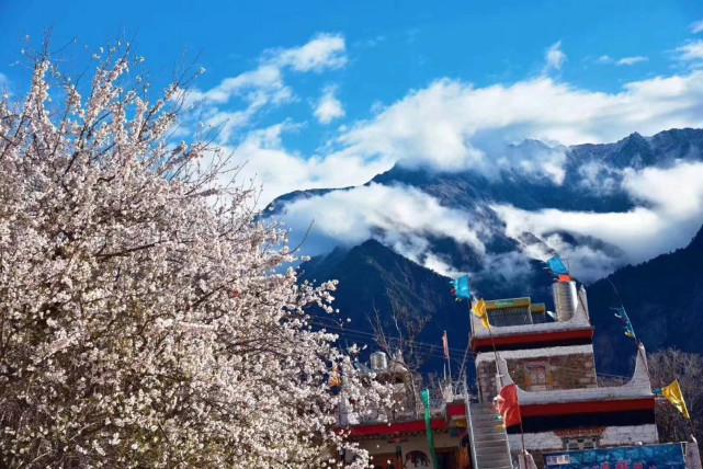 国内最美的春天，三月份的林芝堪称西藏最美的世外桃源