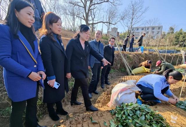 巾帼红·家宣讲|让党的十九届六中全会精神“飞入寻常百姓家”休闲区蓝鸢梦想 - Www.slyday.coM 巾帼红·家宣讲|让党的十九届六中全会精神“飞入寻常百姓家”休闲区蓝鸢梦想 - Www.slyday.coM