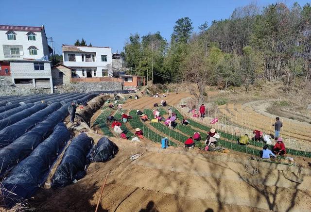 巾帼红·家宣讲|让党的十九届六中全会精神“飞入寻常百姓家”休闲区蓝鸢梦想 - Www.slyday.coM 巾帼红·家宣讲|让党的十九届六中全会精神“飞入寻常百姓家”休闲区蓝鸢梦想 - Www.slyday.coM