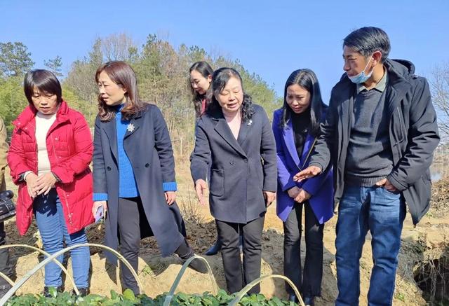 巾帼红·家宣讲|让党的十九届六中全会精神“飞入寻常百姓家”休闲区蓝鸢梦想 - Www.slyday.coM 巾帼红·家宣讲|让党的十九届六中全会精神“飞入寻常百姓家”休闲区蓝鸢梦想 - Www.slyday.coM