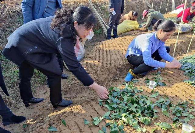 巾帼红·家宣讲|让党的十九届六中全会精神“飞入寻常百姓家”休闲区蓝鸢梦想 - Www.slyday.coM 巾帼红·家宣讲|让党的十九届六中全会精神“飞入寻常百姓家”休闲区蓝鸢梦想 - Www.slyday.coM
