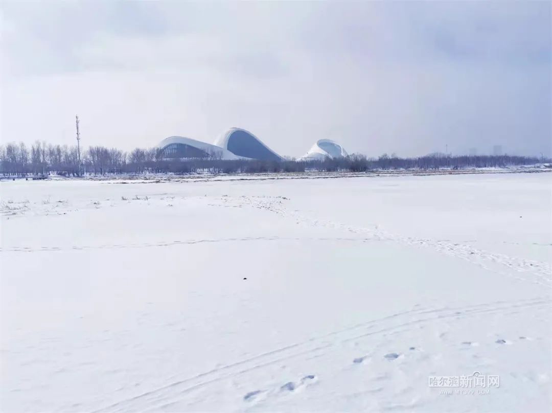 二月二龙抬头丨春龙节雨夹雪、伴大风休闲区蓝鸢梦想 - Www.slyday.coM 二月二龙抬头丨春龙节雨夹雪、伴大风休闲区蓝鸢梦想 - Www.slyday.coM