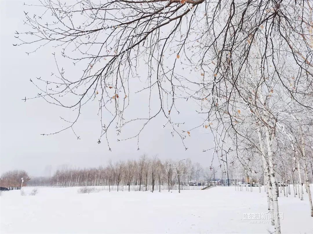 二月二龙抬头丨春龙节雨夹雪、伴大风休闲区蓝鸢梦想 - Www.slyday.coM 二月二龙抬头丨春龙节雨夹雪、伴大风休闲区蓝鸢梦想 - Www.slyday.coM