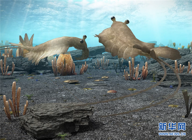 5.3亿年前的海洋生命长啥样？到澄江化石地世界自然遗产博物馆一探究竟澄江化石云南