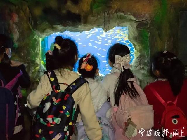 大年初四阳光回归,宁波景区里是这样的……休闲区蓝鸢梦想 - Www.slyday.coM 大年初四阳光回归,宁波景区里是这样的……休闲区蓝鸢梦想 - Www.slyday.coM