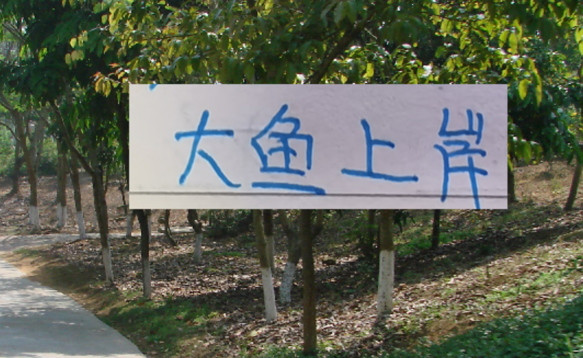 去年中超前5大鱼都上岸 北京国安是德甲大货 海港是本土标王