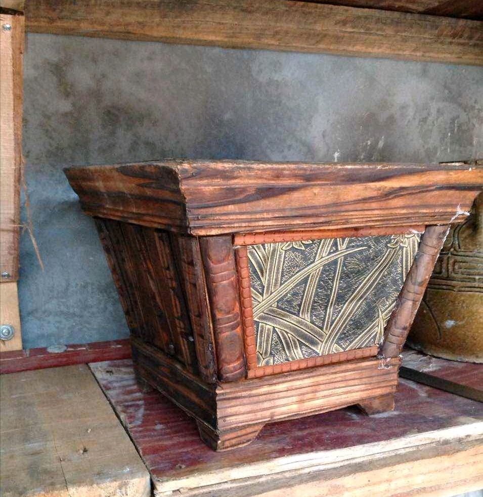 圣诞树上窜出剧毒树蛇，一个照面：女主人差点就没命了...