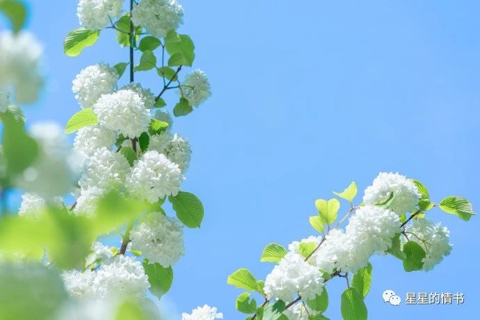 白羊座身上,有哪些值得欣赏和学习的优点呢? 白羊座身上,有哪些值得欣赏和学习的优点呢?