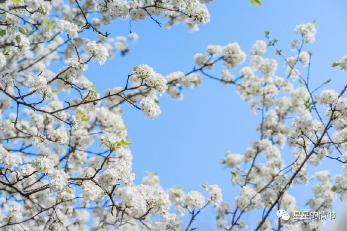 白羊座身上,有哪些值得欣赏和学习的优点呢? 白羊座身上,有哪些值得欣赏和学习的优点呢?