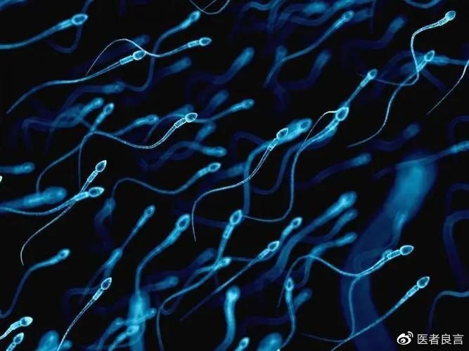 上海同性生子公司（男性长期禁欲，精子只产不排，最后会怎样？提醒：或有3大后果）