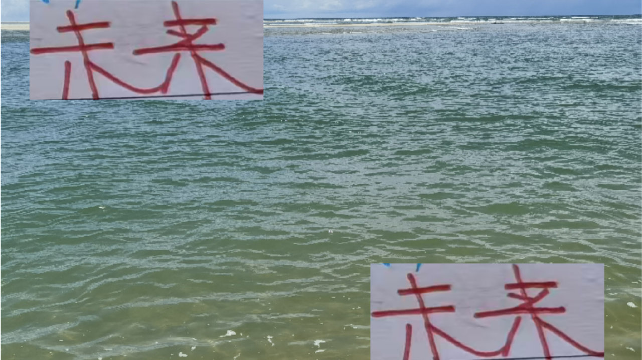 武磊说申花未来会拿到冠军 没想到今年是海港年轻人先打出来