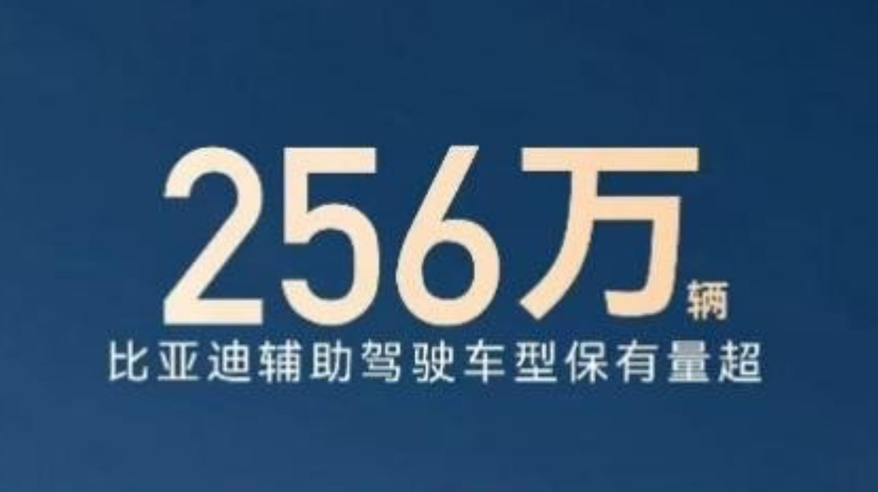 256 万 + 用户共同选择，比亚迪辅助驾驶跑出加速度