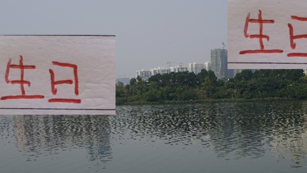 核武7生日！武磊出道以来每年都有进球！今年能收冠军作为礼物吗