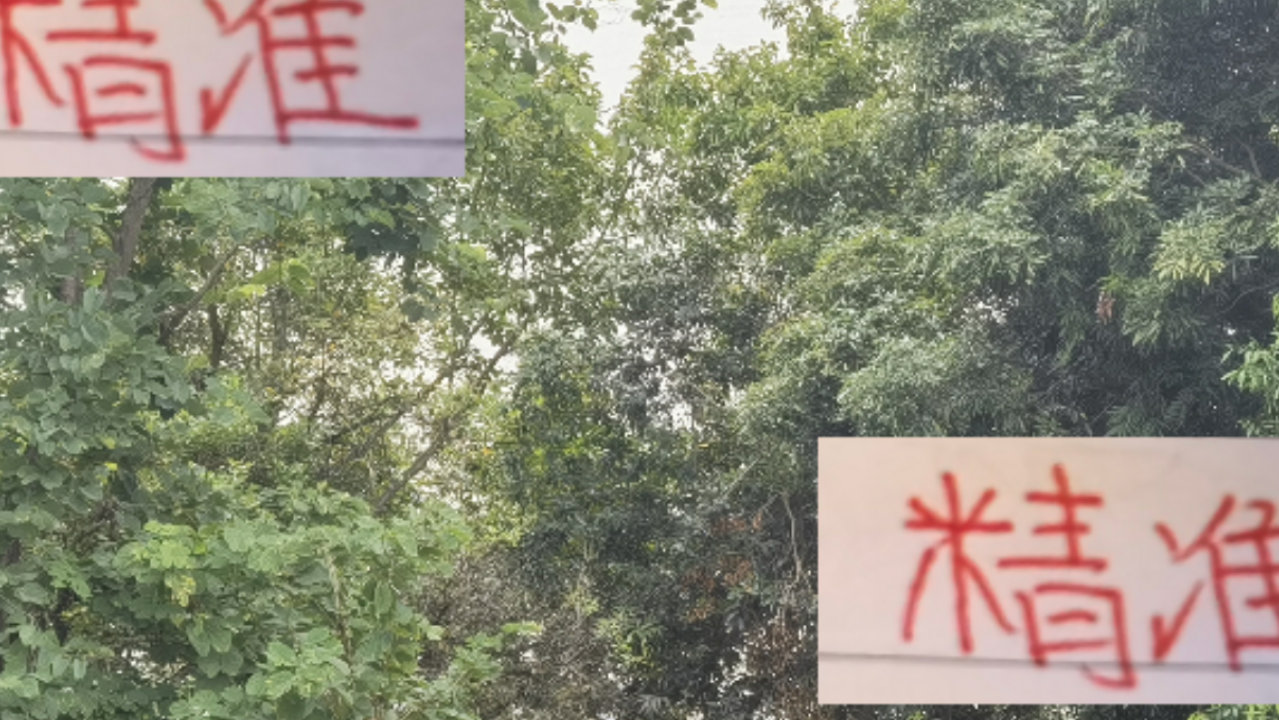 海港去年换头 今年换血 都成功了！明年该换什么？