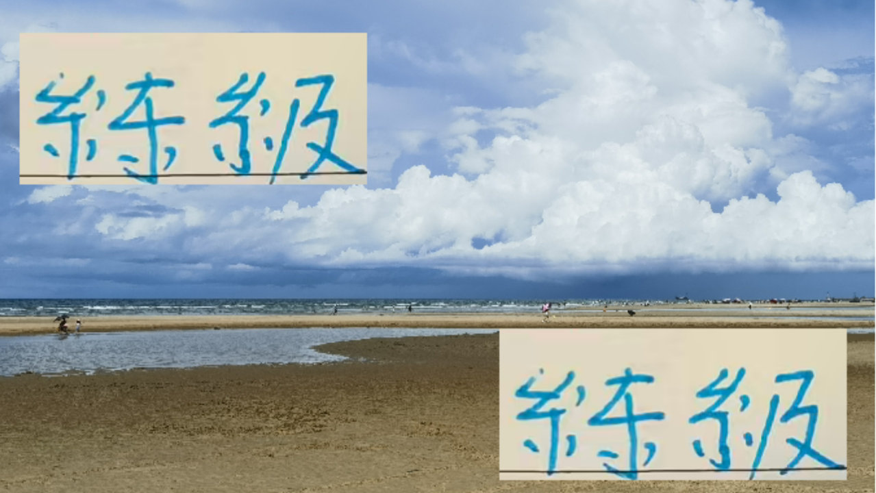 当年外租练级的小牛 申花的蒋圣龙打出来 现在海港刘主任也能吗