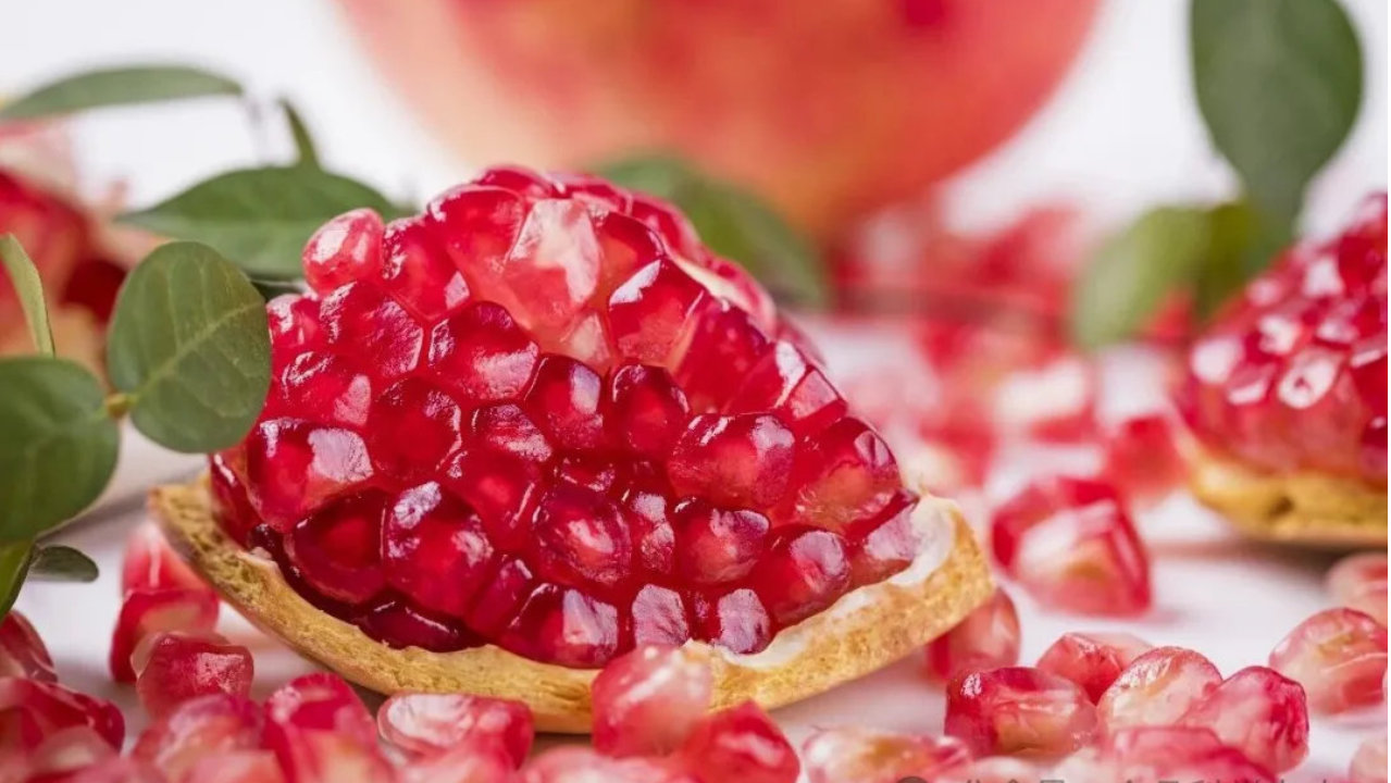 新疆医科大学张䶮之教授等：尿石素A调控线粒体自噬及衰老信号通路