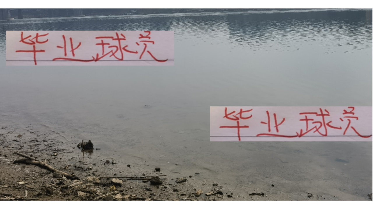 海港毕业球星有奥斯卡一批 今年的谢幕战 谁会毕业呢