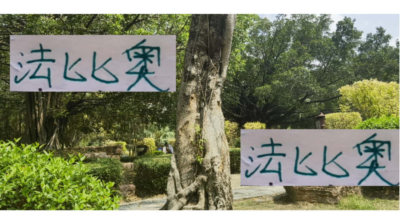 从单轮最佳 中超金靴 足协杯帽子戏法 感觉法比奥年度MVP有戏