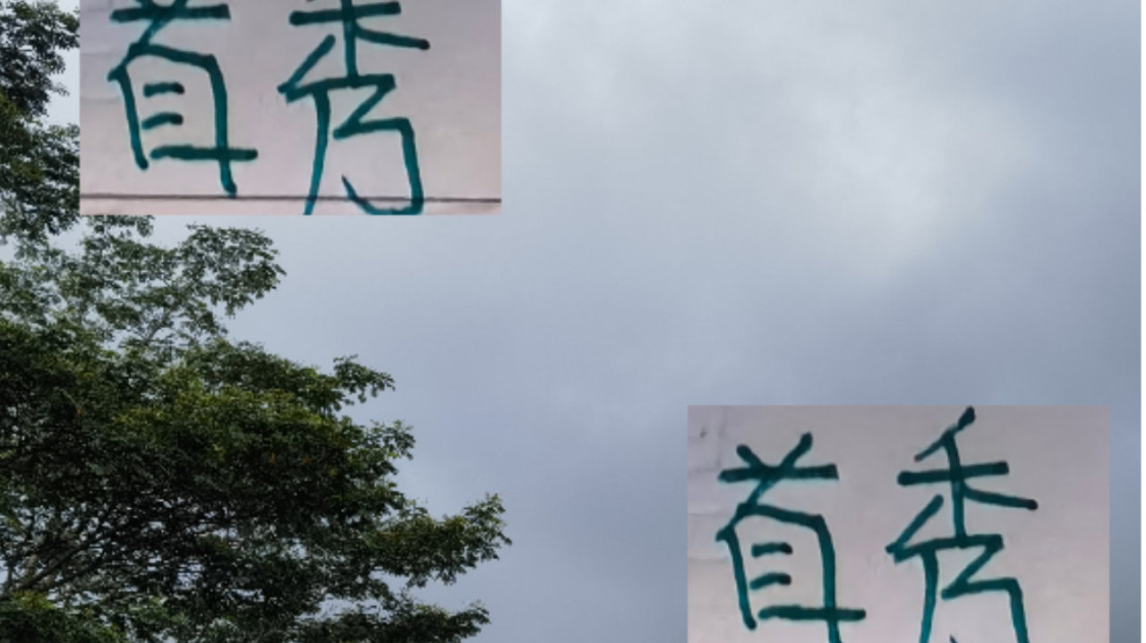 今年海港所有外援都是成功的引援 哪怕奥斯卡梅伦多