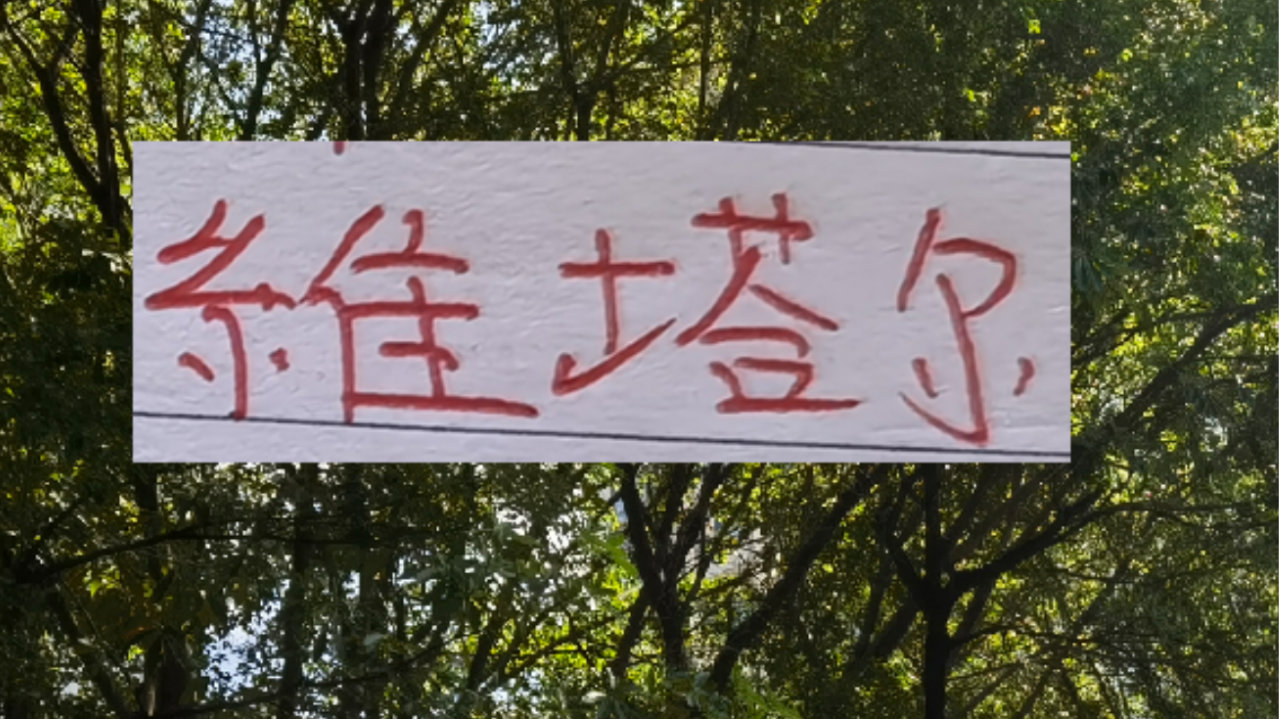 海港三大锋线主力！莱昂跟武磊还在养伤状态 加布里能亚冠突围吗