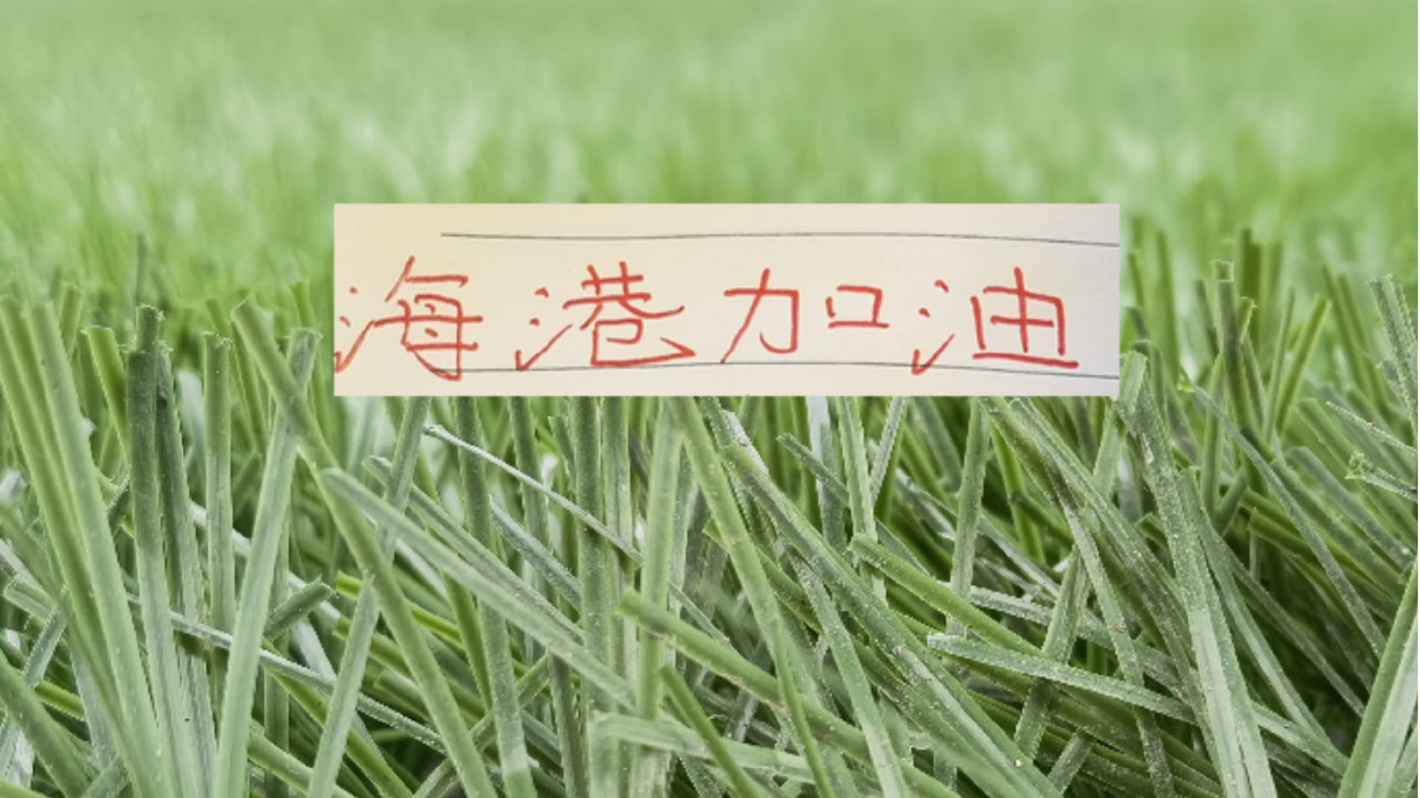 没想到！申花热身对手没有找鱼腩球队 而是找豪门泰山